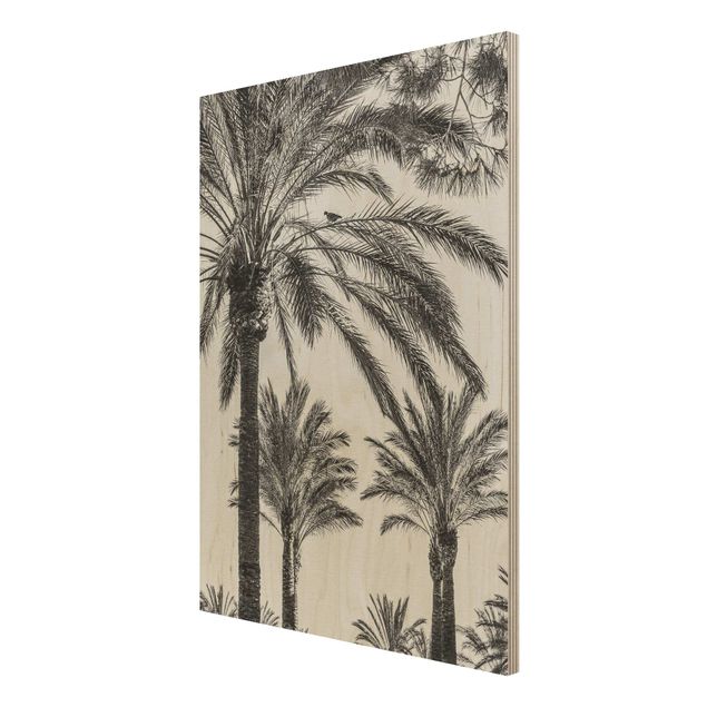 Wood prints landscape Palm Trees At Sunset Black And White