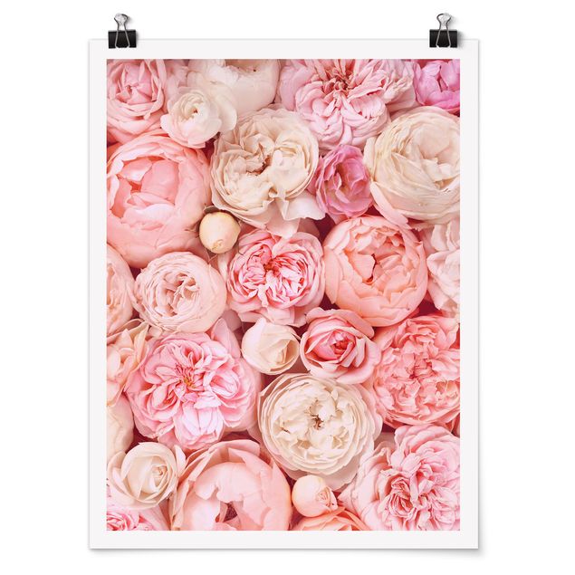 Prints modern Roses Rosé Coral Shabby