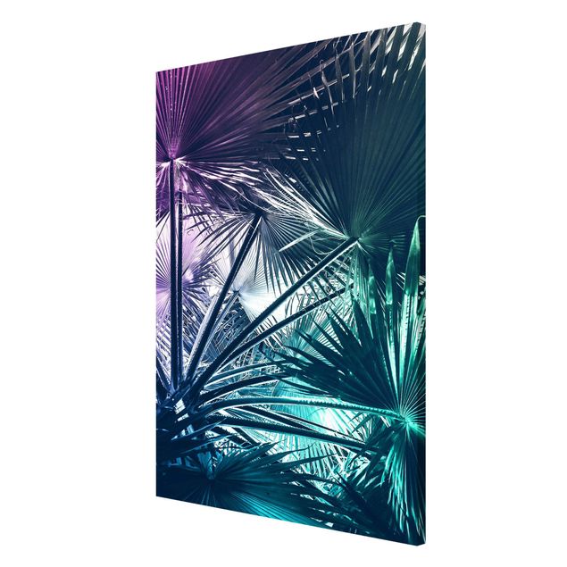 Magnet boards flower Tropical Plants Palm Leaf In Turquoise IIl