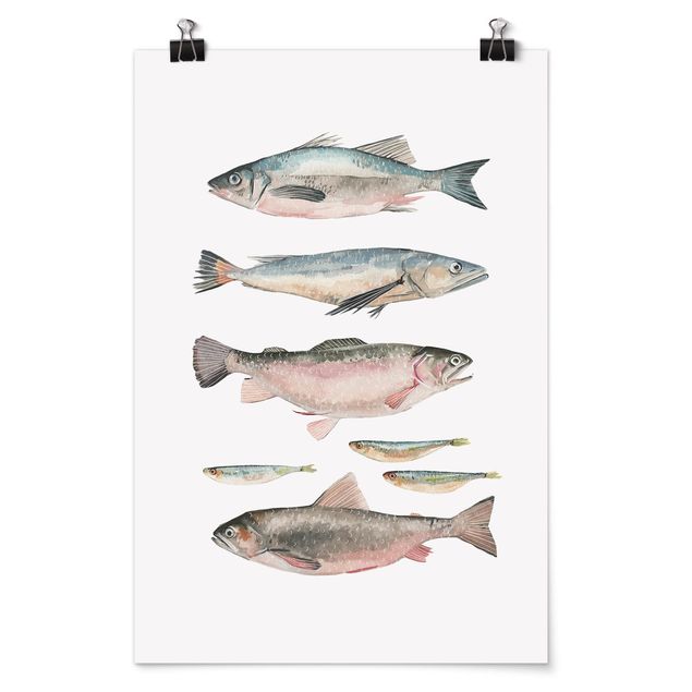 Modern art prints Seven Fish In Watercolour I