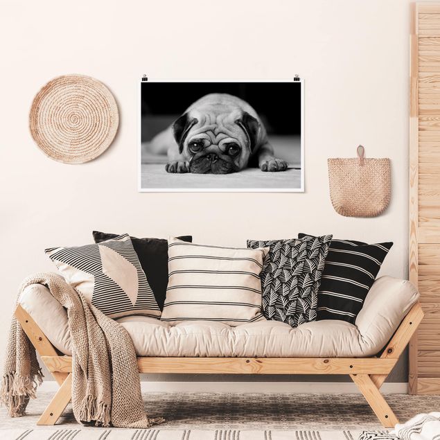 Dog wall art Pug Loves You II