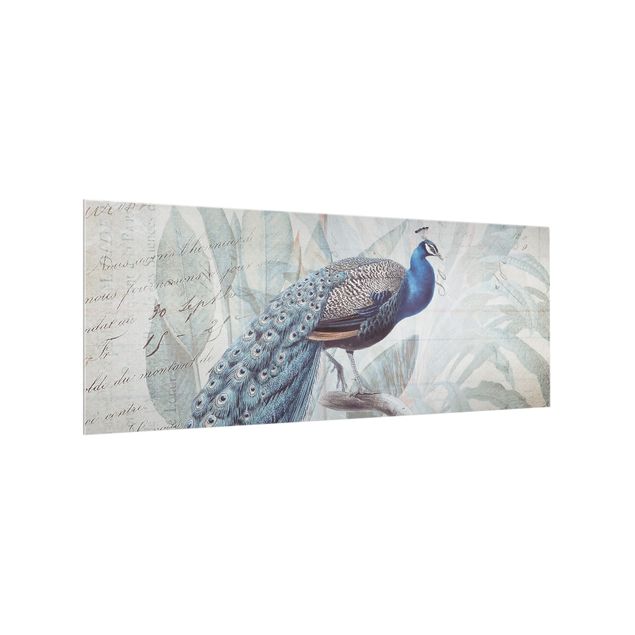 Glass splashback art print Shabby Chic Collage - Peacock