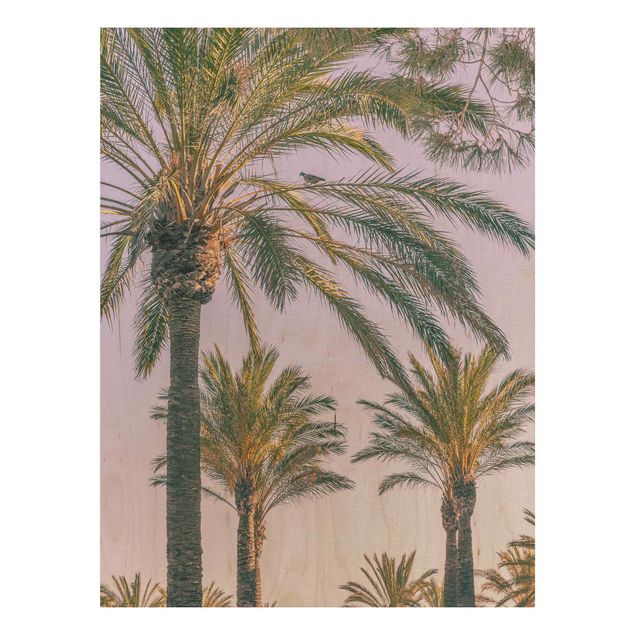 Wood prints flower Palm Trees At Sunset