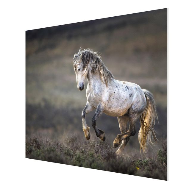 Animal canvas Galloping Through The Heather