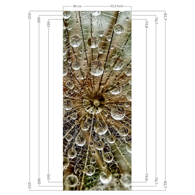 Shower wall cladding - Dandelion In Autumn
