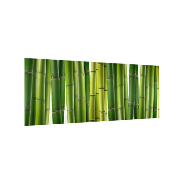 Glass splashback kitchen landscape Bamboo Plants