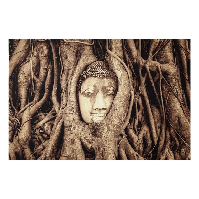 Glass splashback kitchen Buddha In Ayutthaya From Tree Roots Lined In Brown