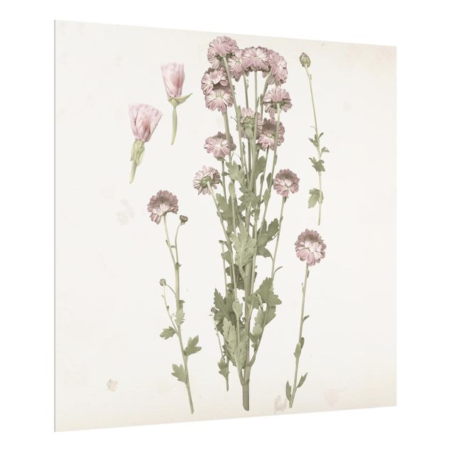 Glass splashback Herbarium In Pink I