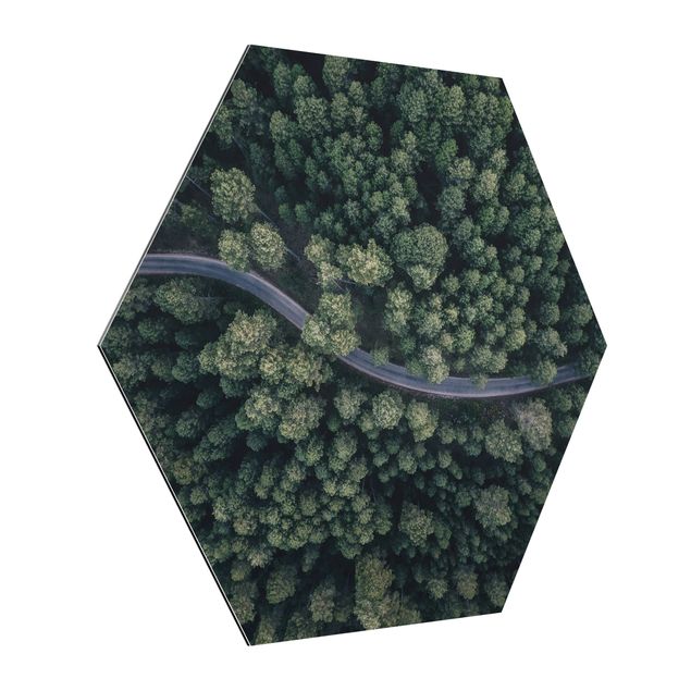 Modern art prints Aerial View - Forest Road From The Top