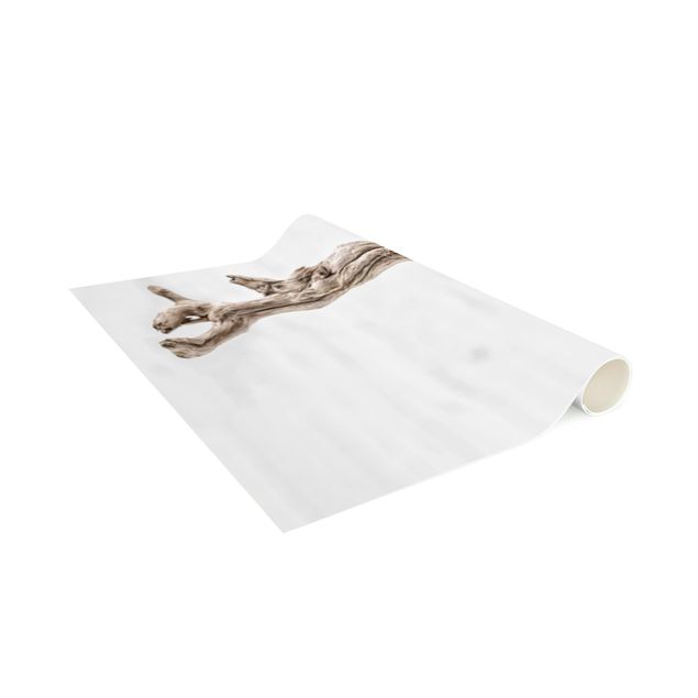 kitchen runner rugs White Snail Shell And Root Wood