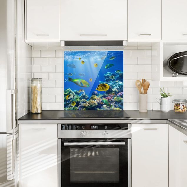 Glass splashback kitchen landscape Underwater Lights