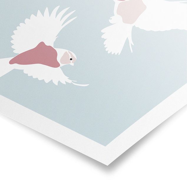 Prints animals Line Art Pigeons Pastel