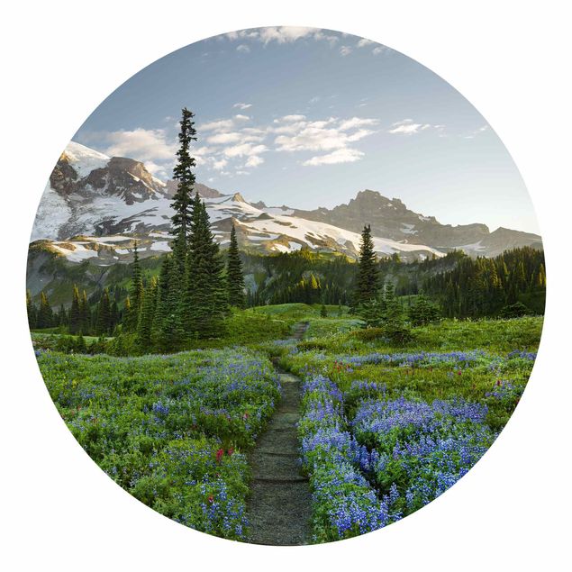 Wallpapers flower Mountain View Meadow Path
