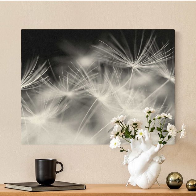 Landscape canvas prints Moving Dandelions Close Up On Black Background