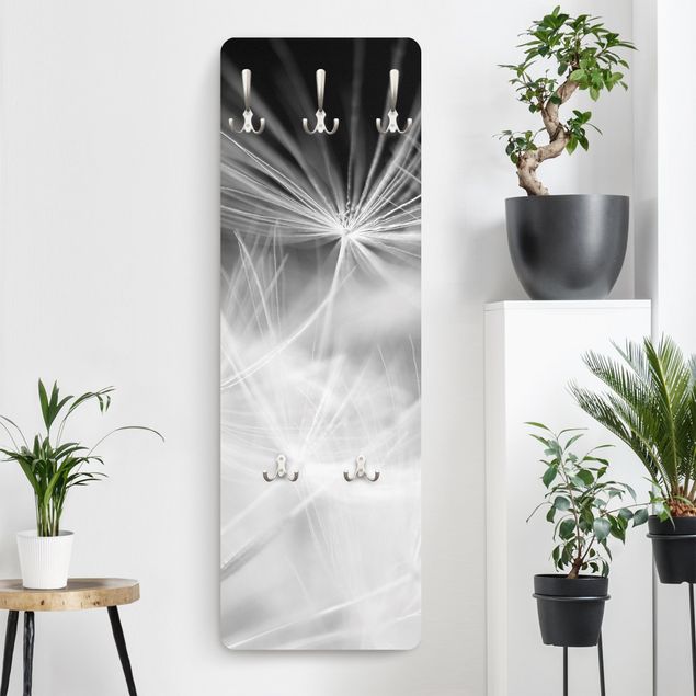Wall mounted coat rack flower Moving Dandelions Close Up On Black Background