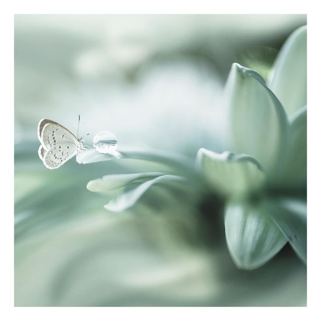 Glass splashback kitchen Butterfly And Dew Drops In Pastel Green