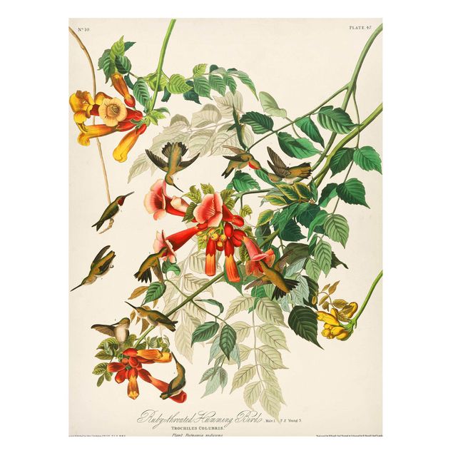 Magnet boards flower Vintage Board Hummingbirds