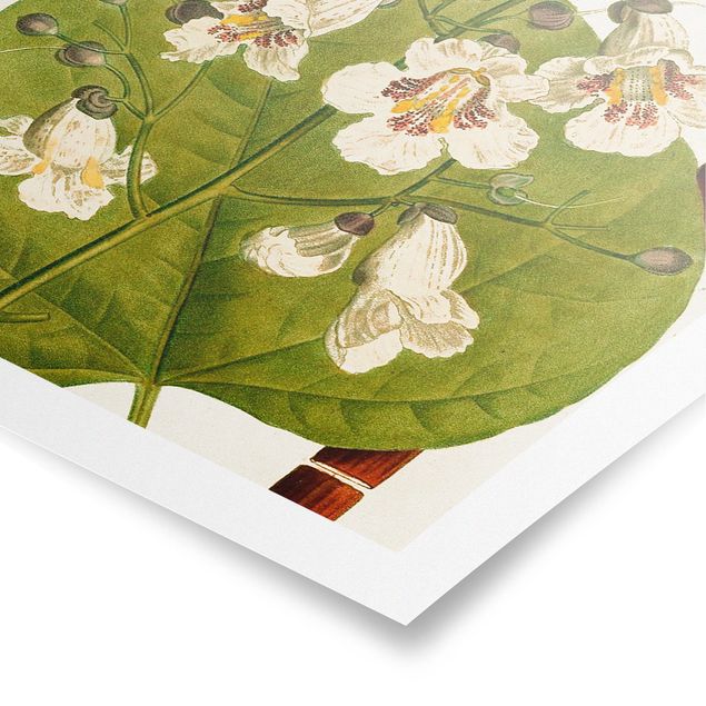 Contemporary art prints Tableau Leaf Flower Fruit V