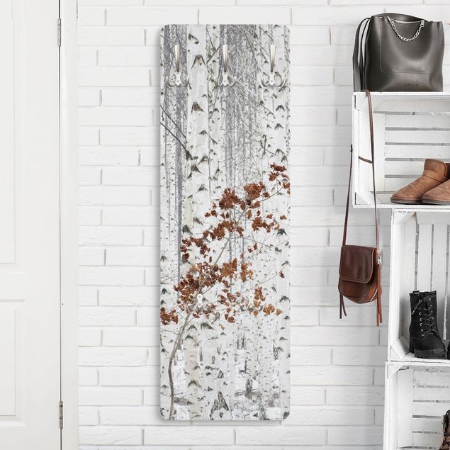 Wall mounted coat rack black and white Birch Trees In Autumn