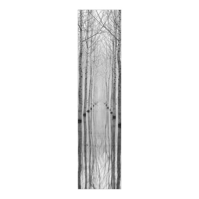 Sliding panel curtains landscape Birches In November