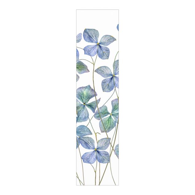 Sliding panel curtains flower Blue Hydrangea Flowers