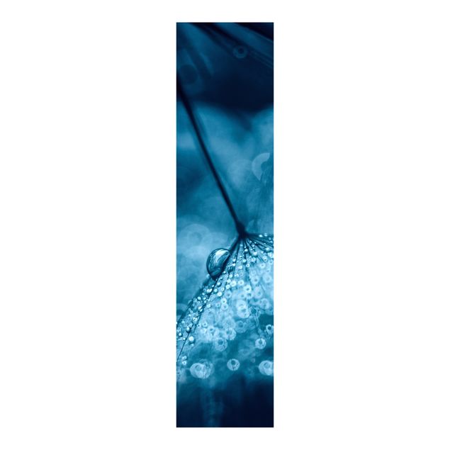 Sliding panel curtains flower Blue Dandelion In The Rain