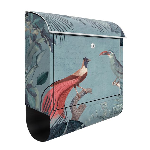 Letterboxes flower Blue Gray Paradise With Tropical Birds