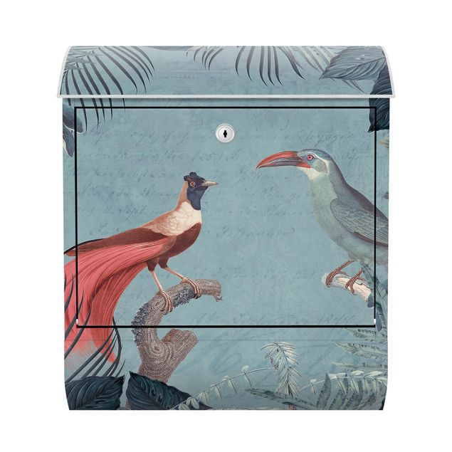 Letterboxes animals Blue Gray Paradise With Tropical Birds