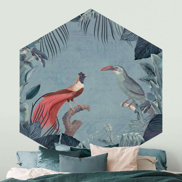 Wallpapers birds Blue Gray Paradise With Tropical Birds