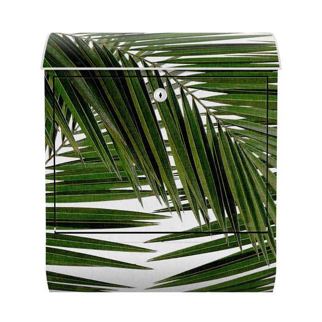 Letterboxes landscape View Through Green Palm Leaves