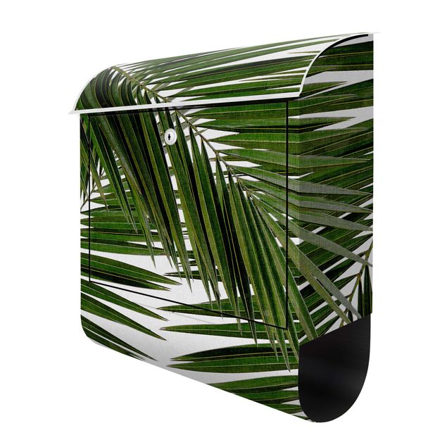 Green post box View Through Green Palm Leaves