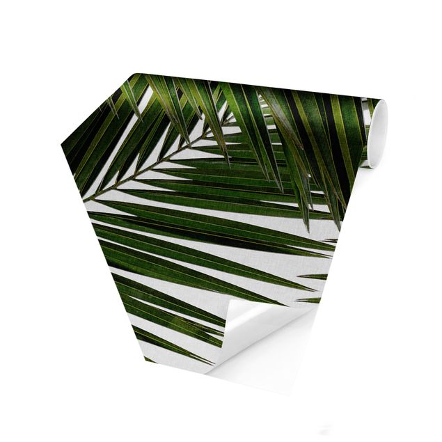 Peel and stick wallpaper View Through Green Palm Leaves