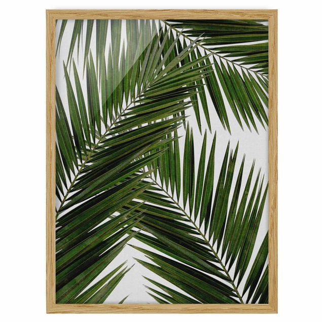 Floral canvas View Through Green Palm Leaves