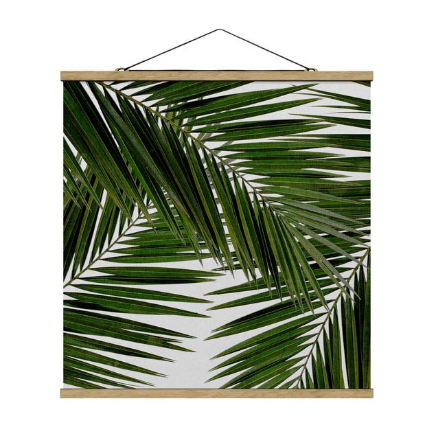 Floral canvas View Through Green Palm Leaves