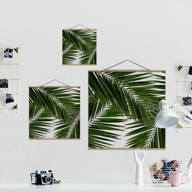 Green art prints View Through Green Palm Leaves