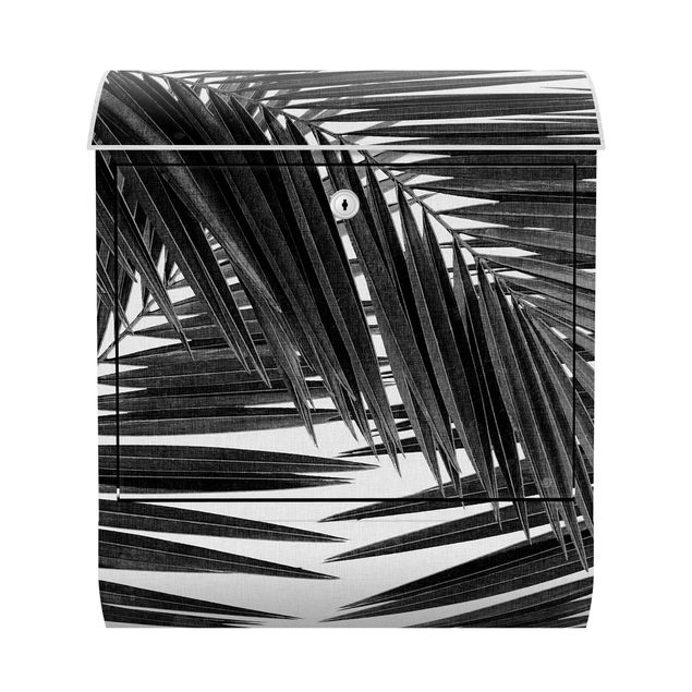 Letterboxes black and white View Through Palm Leaves Black And White