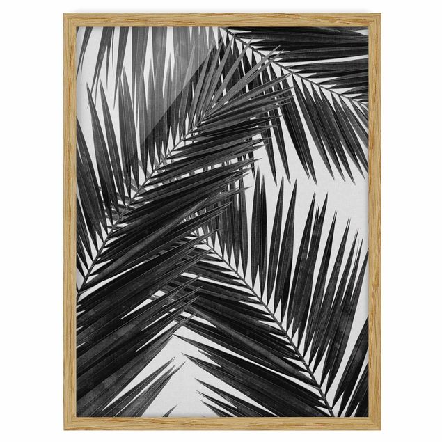 Prints floral View Through Palm Leaves Black And White