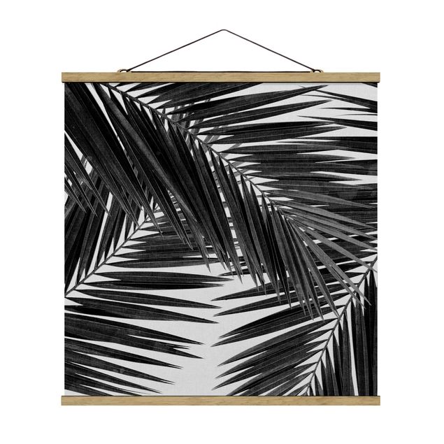 Floral canvas View Through Palm Leaves Black And White