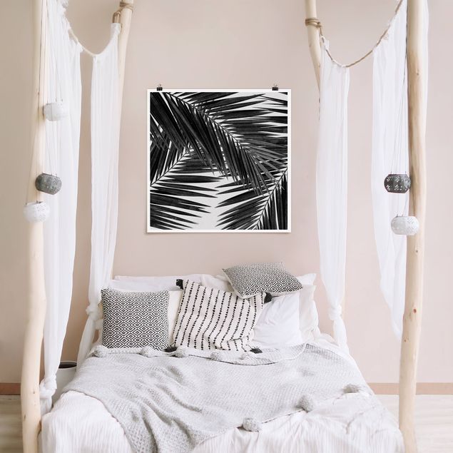 Canvas art View Through Palm Leaves Black And White