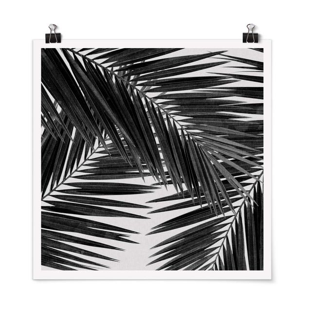 Posters art print View Through Palm Leaves Black And White