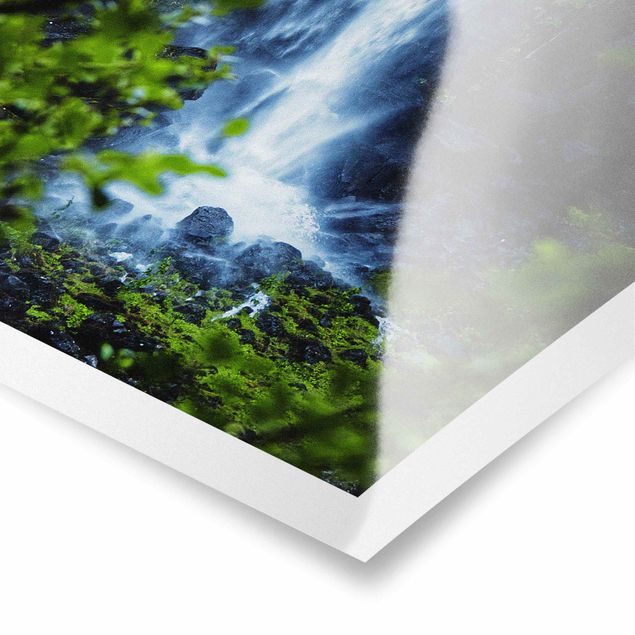 Green art prints View Of Waterfall