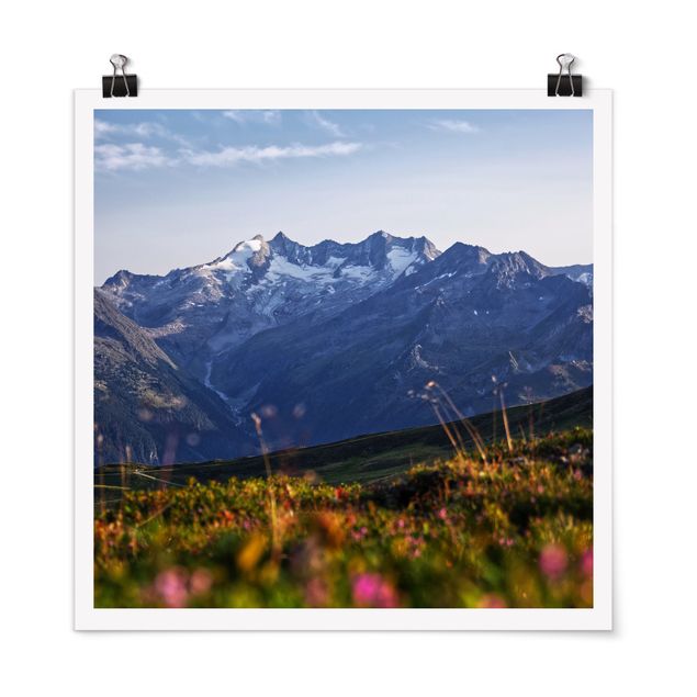 Floral canvas Flowering Meadow In The Mountains