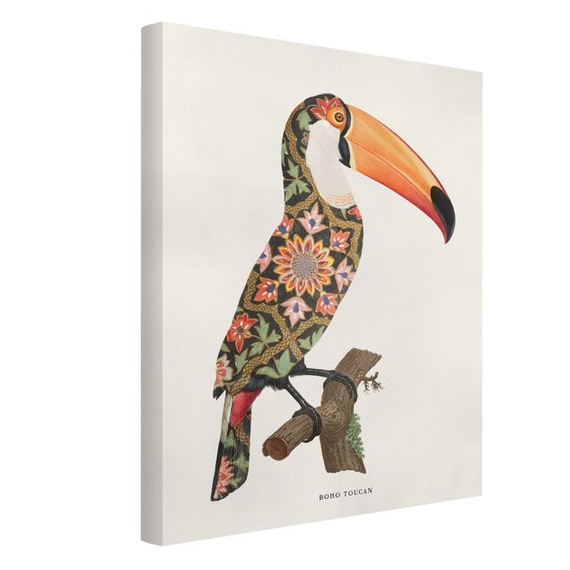 Vintage posters Boho Birds - Toucan