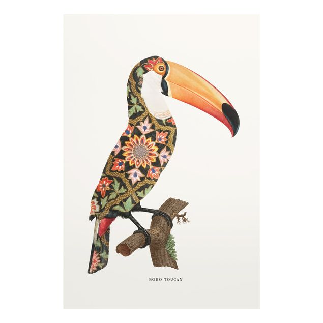 Jonas Loose Boho Birds - Toucan