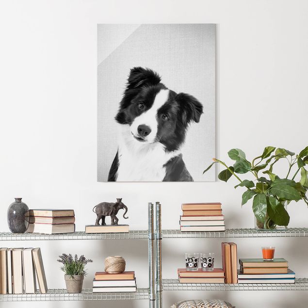 Dog print Border Collie Benni Black And White