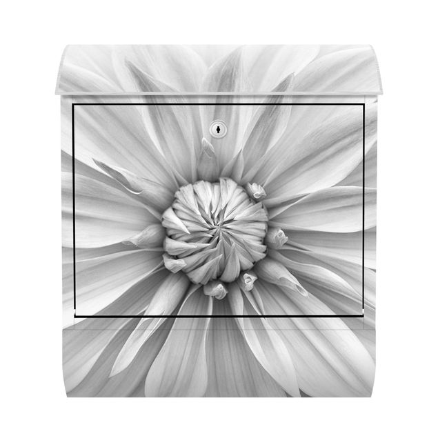 Letterboxes black and white Botanical Blossom In White