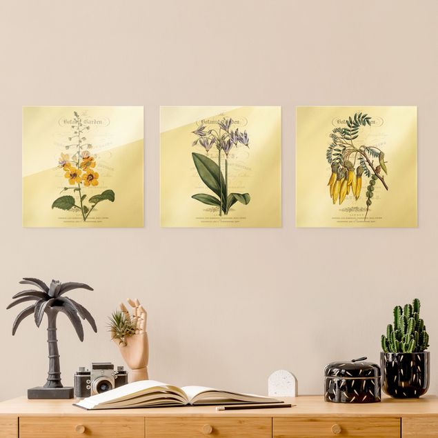 Glass prints flower Botanical Table Set I
