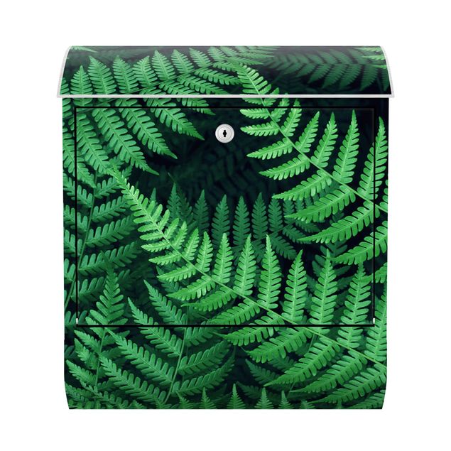 Letterboxes green Fern