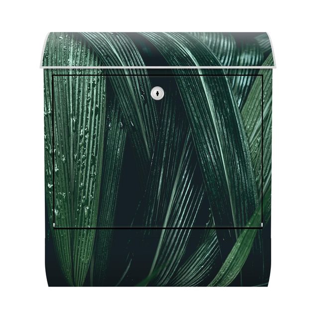 Green post box Green Palm Leaves
