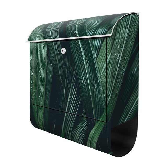 Letterboxes Green Palm Leaves